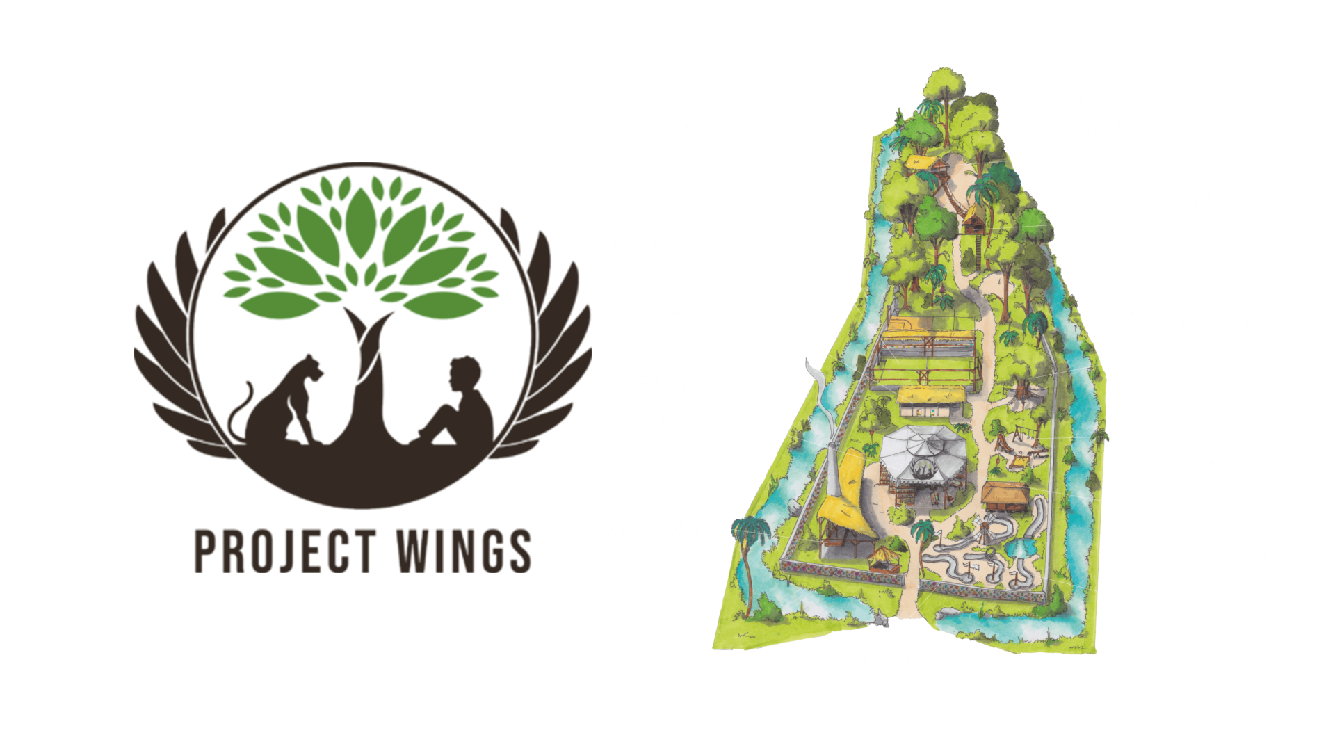 Read more about the article Project Wings