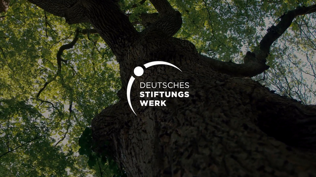 Mehr über den Artikel erfahren Deutsches StiftungsWerk – Stiften wirkt.